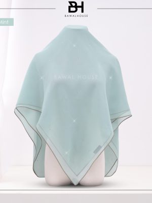 Delia Tabur BH64 (Pastel Mint) New!