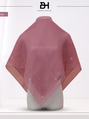 V Kasih BH41 (Musk Rose)