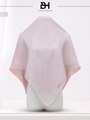BackToBasic BH23 (Clam Shell)