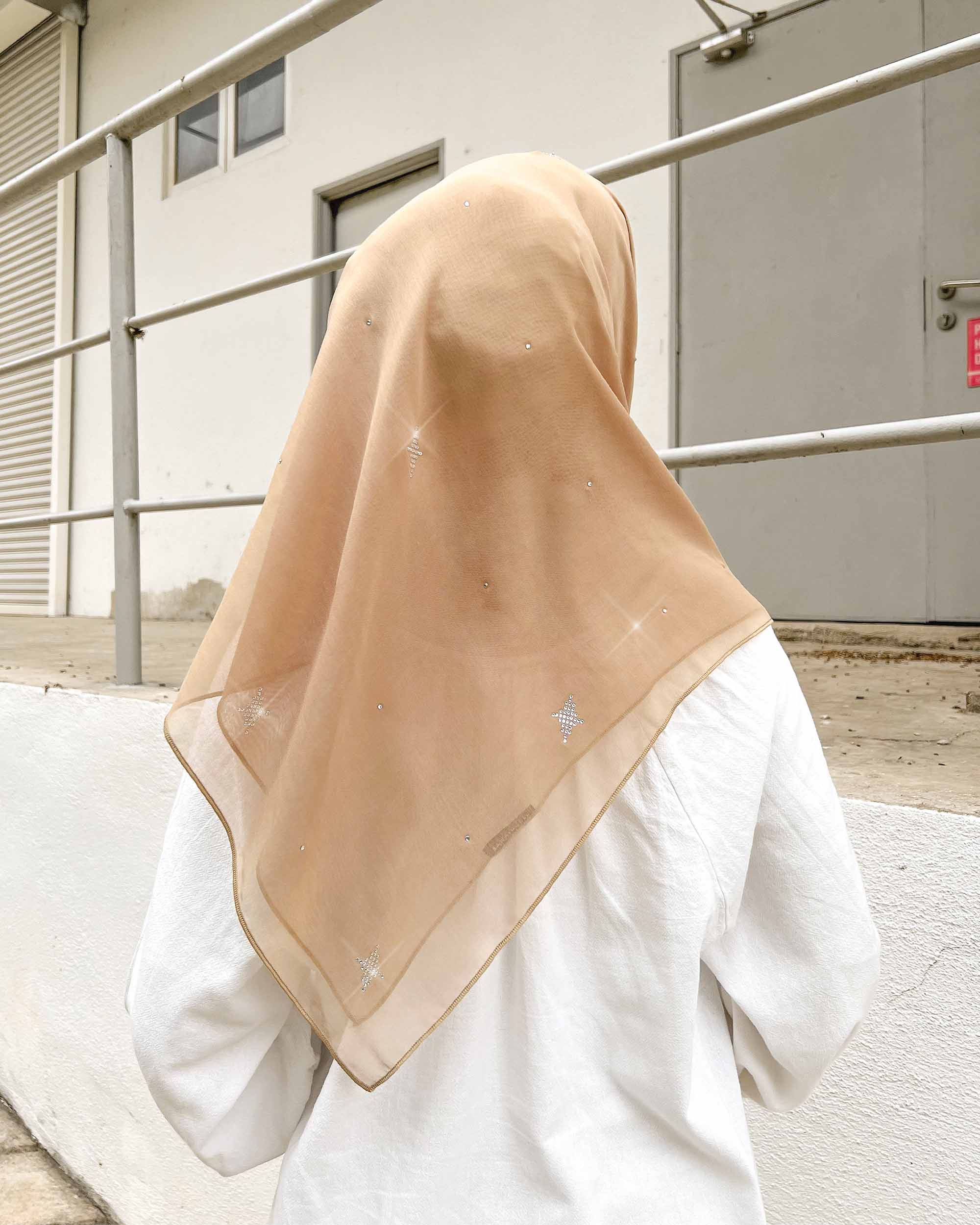 Bawal Zinnia BH59 (Arctic Blue) - Image 4