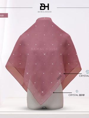 Bawal Mix Clara BH41 (Musk Rose)