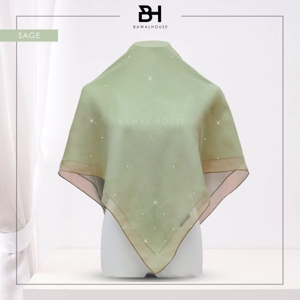 Delia Tabur BH72 (Sage)