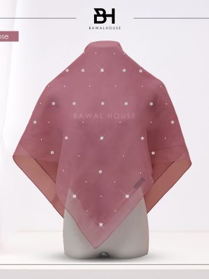 Bawal Mini Rosa BH41 (Musk Rose)