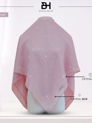 Bawal Mix Clara BH36 (Bubble Shell)