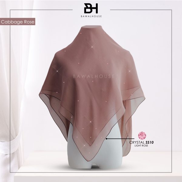 Delia Color BH46 (Cabbage Rose)