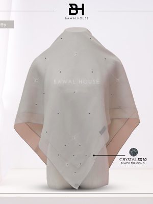 Delia Color BH99.1 (Light Grey)