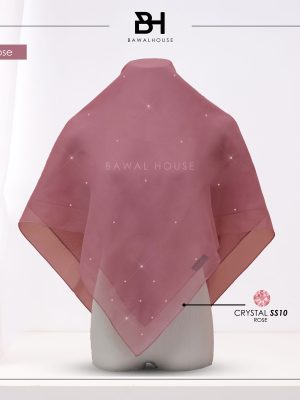 Delia Color BH41 (Musk Rose)