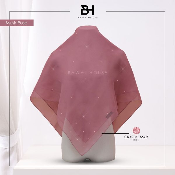 Delia Color BH41 (Musk Rose)