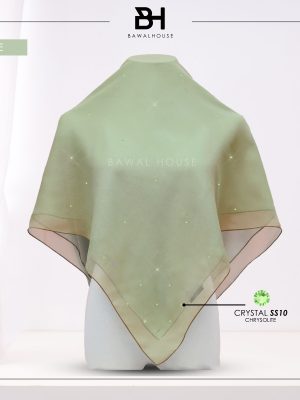 Delia Color BH72 (Sage)