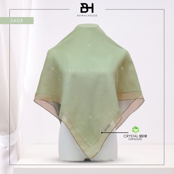 Delia Color BH72 (Sage)