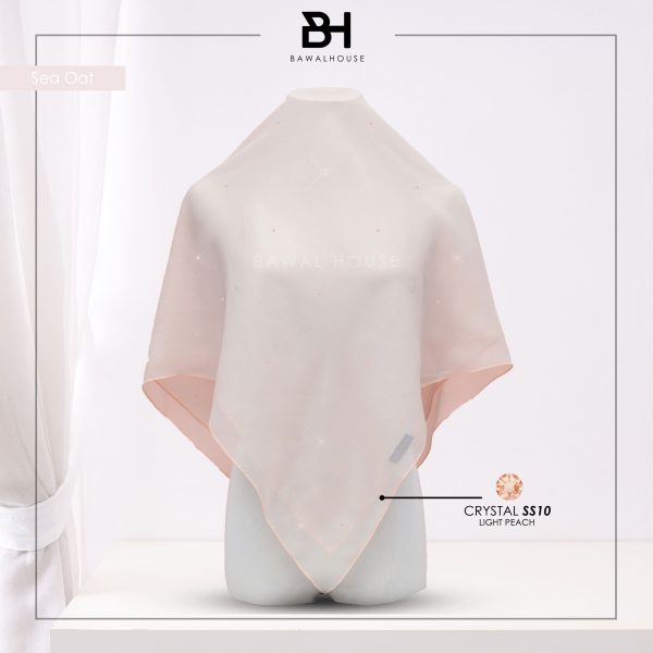 Delia Color BH22 (Sea Oat)