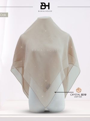 Delia Color BH08 (October Oak)