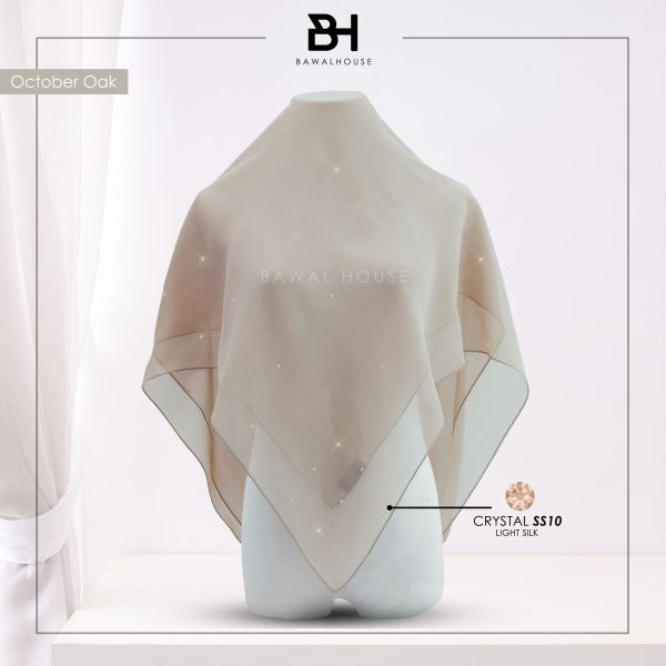 Delia Color BH08 (October Oak)