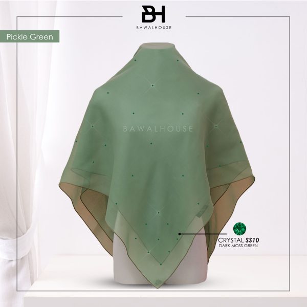 Delia Color BH84 (Pickle Green)