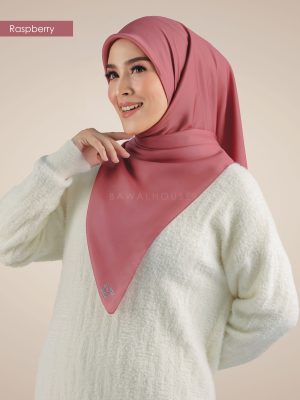 BH13 Darla (Raspberry)